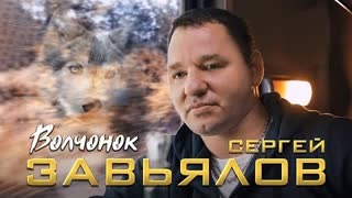 Сергей Завьялов - Волчонок (Премьера клипа 2022)
