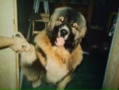 Фотография Михайлова Владимира