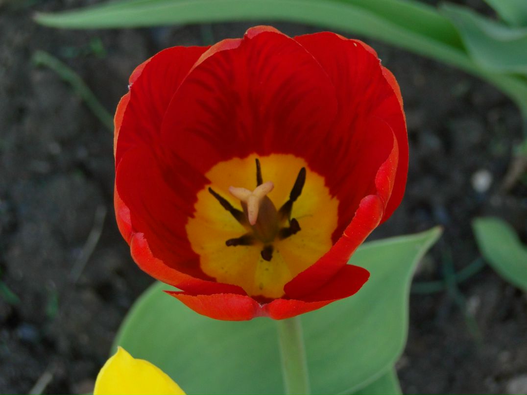 Дмитрий Коннов фотография #40