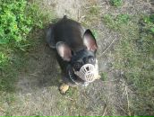 Фотография Мальцевой Татьяны