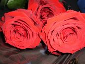 Фотография Давыдовой Юлии