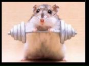 Фотография Алексеева Дениса