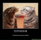 Ірина Куян фотография #4 (источник - https://vk.com/id41514399)