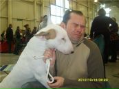 Фотография Сорокина Александра