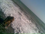 Фотография Души Софьи