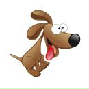 Фотография Bashirov Raziff