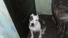 Фотография Жвирко Ксении