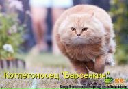 Фотография Габитова Айгиза