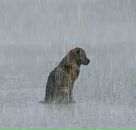 Фотография Кочергиной Полины