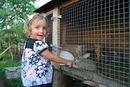 Юлія Содома фотография #42 (источник - https://vk.com/id119444485)