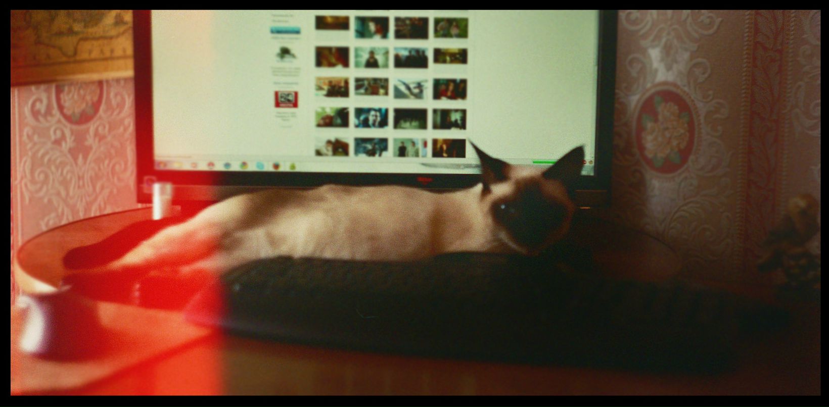 Игорь Фокин фотография #29