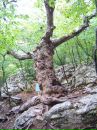Олександр Алісов фотография #20 (источник - https://vk.com/id11415860)