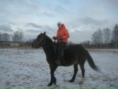 Фотография  