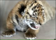 Фотография Аношкиной Марии