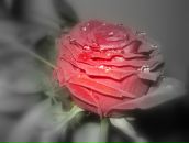 Андріанка Дишкант фотография #30 (источник - https://vk.com/id68074395)