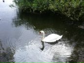 Катерина Комарова фотография #14 (источник - https://vk.com/id2793502)