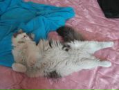 Андрій Василинин фотография #38 (источник - https://vk.com/id140397277)