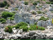 Дмитрий Башкалин фотография #37 (источник - https://vk.com/id2819725)