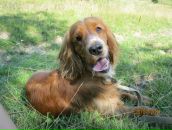 Саша Білецький фотография #1