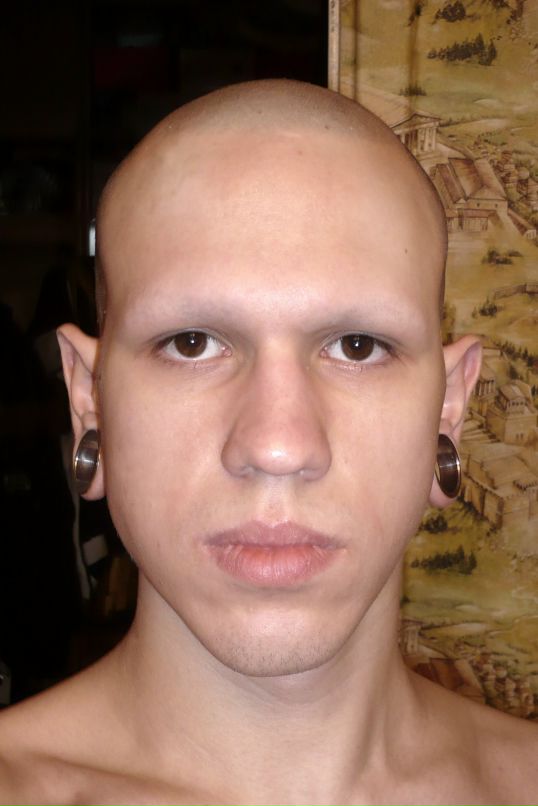 Pingvin Art фотография #48