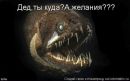 Фотография Новиковой--Широковой Елены