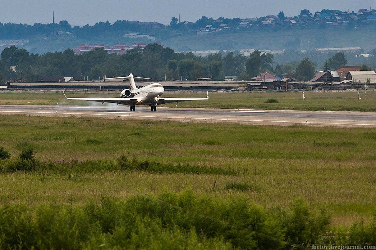 Кот Бегемот фотография #42