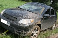 Йа Папко фотография #11 (источник - https://vk.com/id991704)