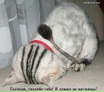 Татьяна Екимова фотография #31 (источник - https://vk.com/id950159)