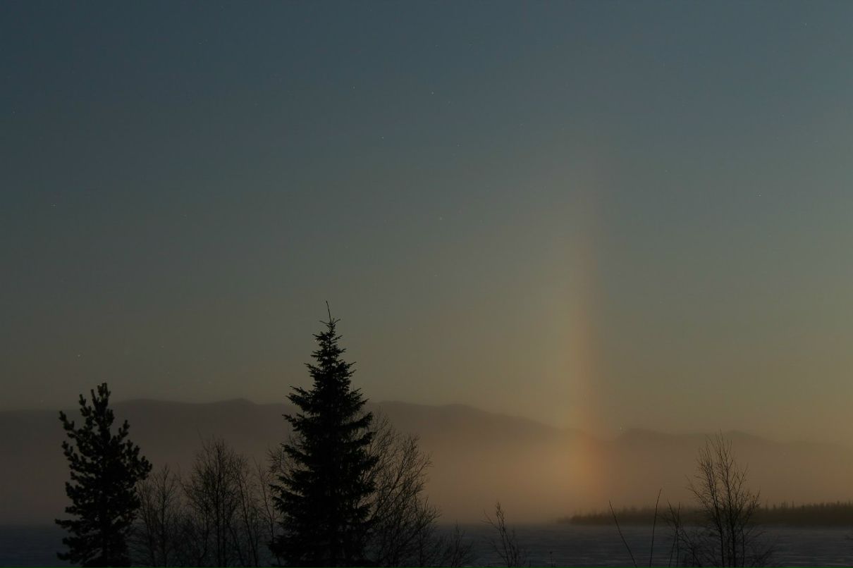 Игорь Тимофеев фотография #1