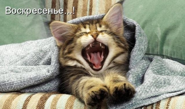 Tata Skripa фотография #30