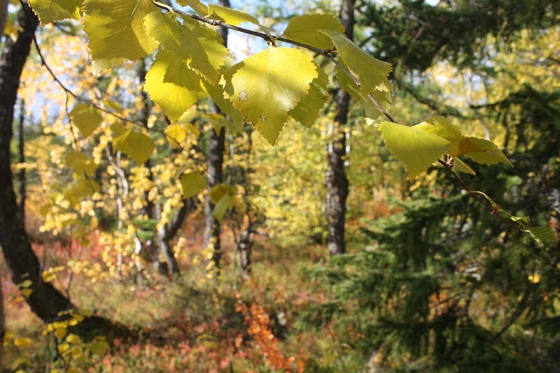 Сергей Маслов фотография #21