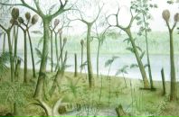 Фотография Яшиной Ольги