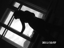 Фотография Казанцевой Екатерины