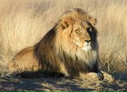 Юрій Кіраль фотография #7 (источник - https://vk.com/id22913482)