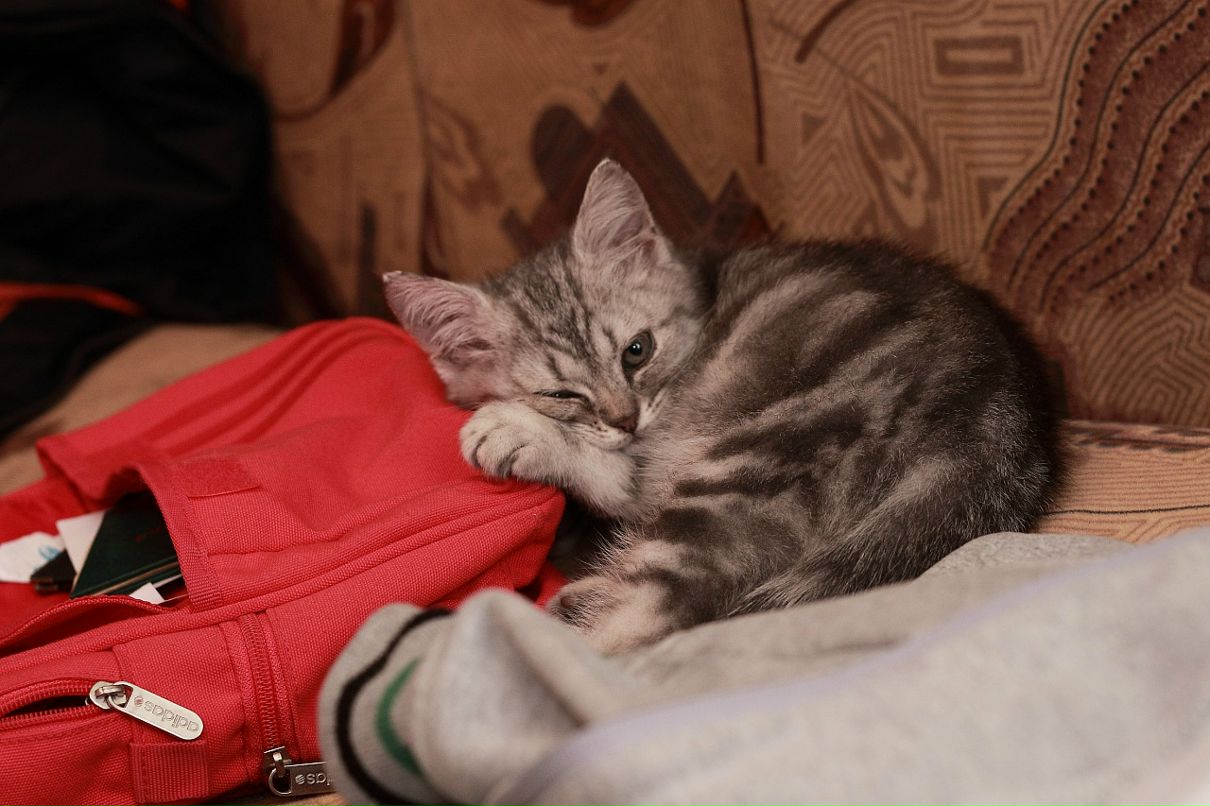 Антоха Злобин фотография #35