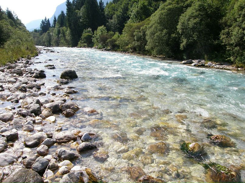 Ксения Черных фотография #23