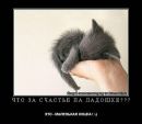 Соня Кіцила фотография #47 (источник - https://vk.com/id139174315)