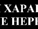 Вікуся Котік фотография #4 (источник - https://vk.com/id159861953)