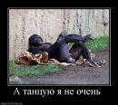 Олександр Матвійчук фотография #25 (источник - https://vk.com/id71645851)
