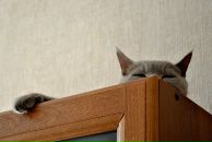 Фотография Полунина Андрюхи