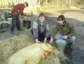 Сергій Дегтяр фотография #28 (источник - https://vk.com/id76306048)