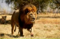 Юрій Кіраль фотография #14 (источник - https://vk.com/id22913482)