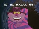 Фотография Корженевской-Чепрасовой Марины