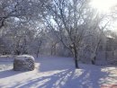 Фотография Кобзаренко Елены