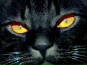 Фотография Симоновой Натальи