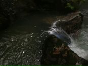 Анна Пленкова фотография #25 (источник - https://vk.com/id1463019)