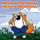 Фотография Алексеева Никиты