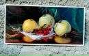 Любовь Κарасева фотография #8 (источник - https://vk.com/id136991632)