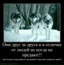 Вадім Кравчик фотография #1