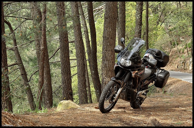 Сергей Михеев фотография #33